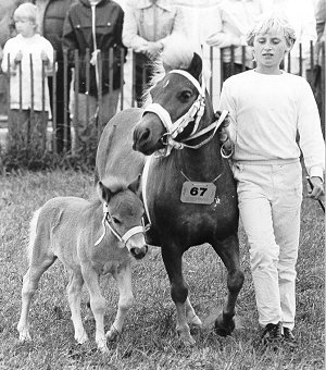 Hjlunds Cholita & Hjlunds Hugo 1983