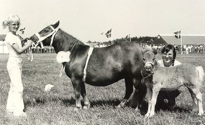 High Society Garbo & Hjlunds Chamagne 1981