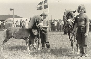 Hjørring Dyrskue 1979
