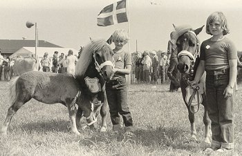 Hjrring Dyrskue 1979