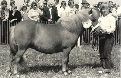 Hjvangs Lady 1979