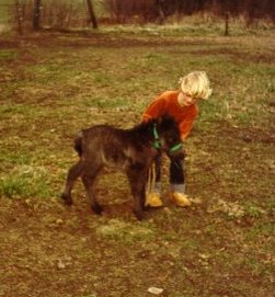 Hjlunds Lucky 1980