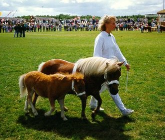 Hjlunds Machinell 1989