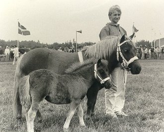 Hjlunds Machinell & Hjlunds Maley 1985