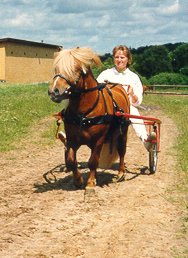 Silkeborg 1990